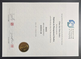City University of Hong Kong Diploma: Official Qualification Status and Employer
